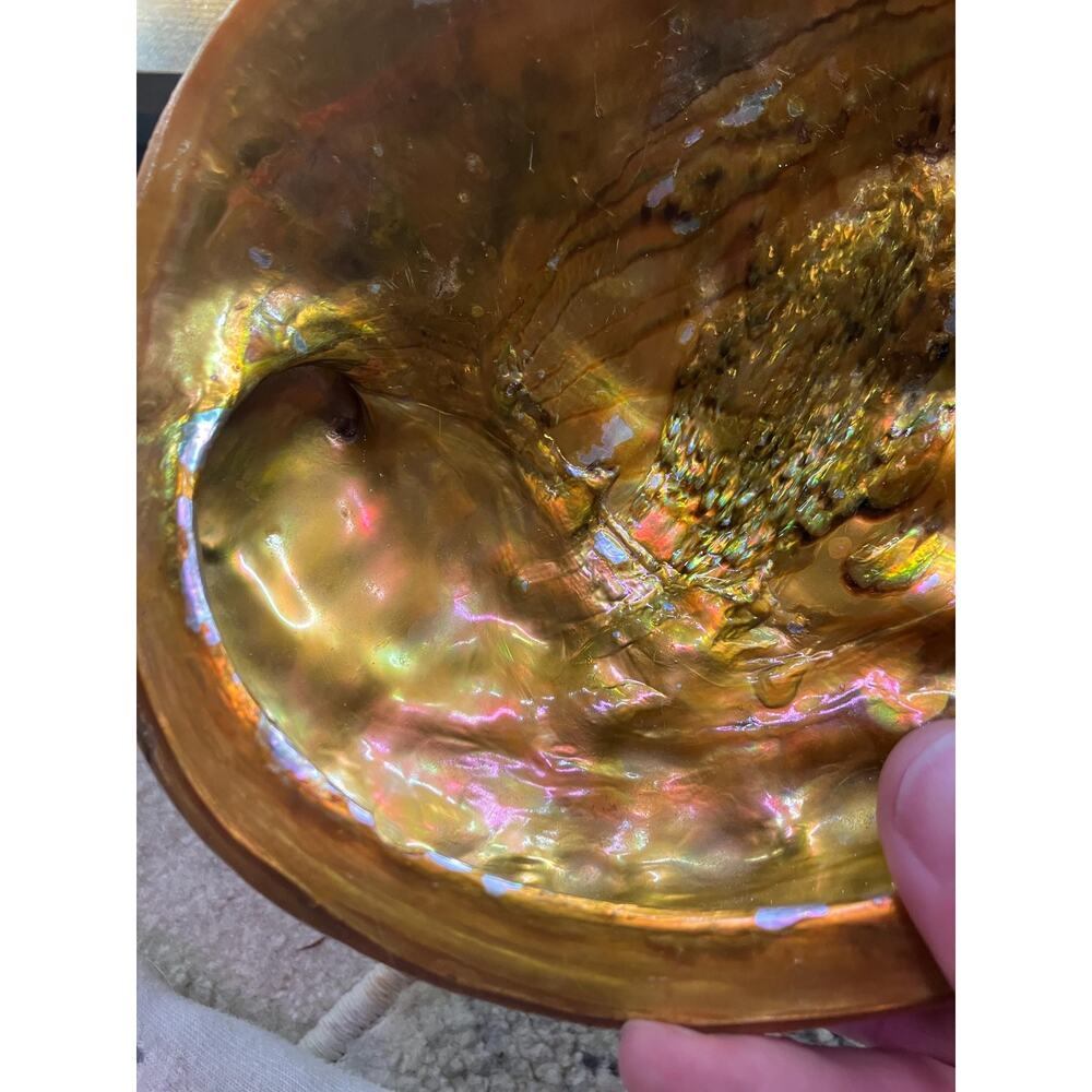 Vintage Hollywood Regency Coastal Abalone Pearl Shell Cigar Ashtray - Picture 4 of 9